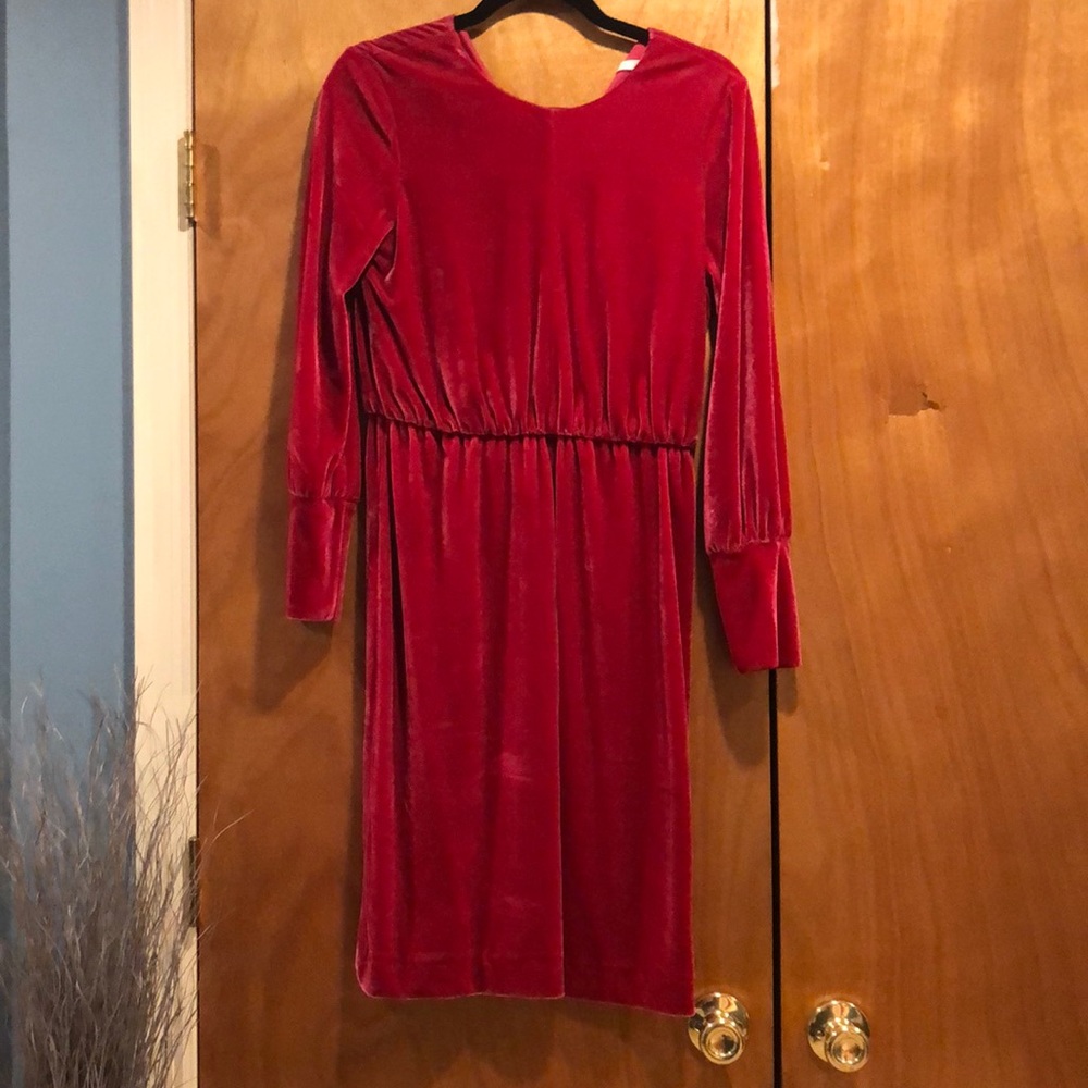 Zara pink velvet dress!